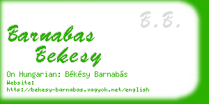 barnabas bekesy business card