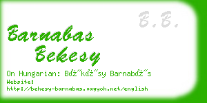 barnabas bekesy business card